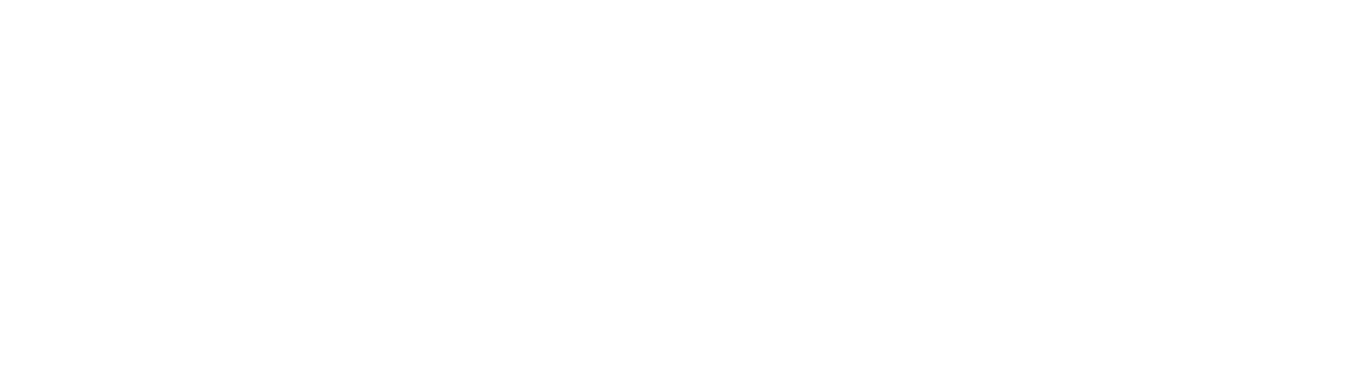 nusudesigns-logo